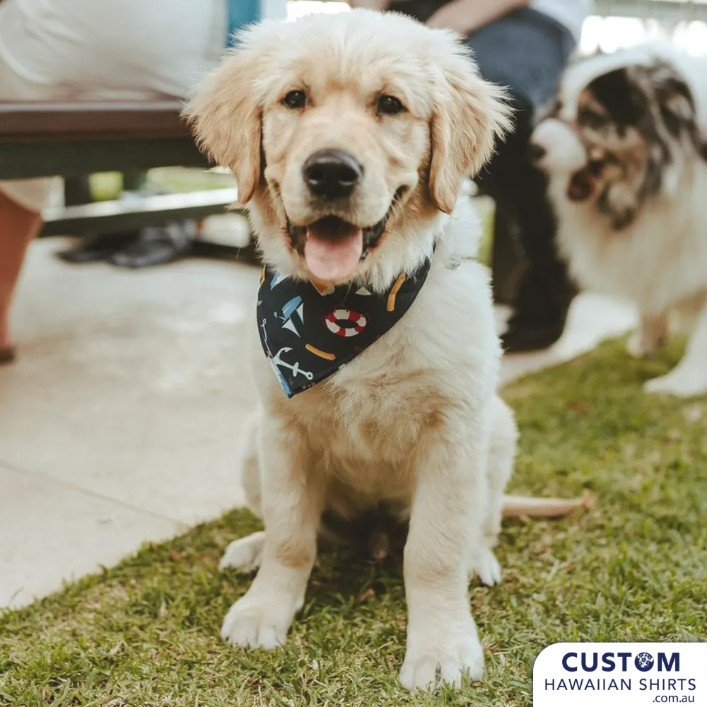 Custom Dog Bandanas