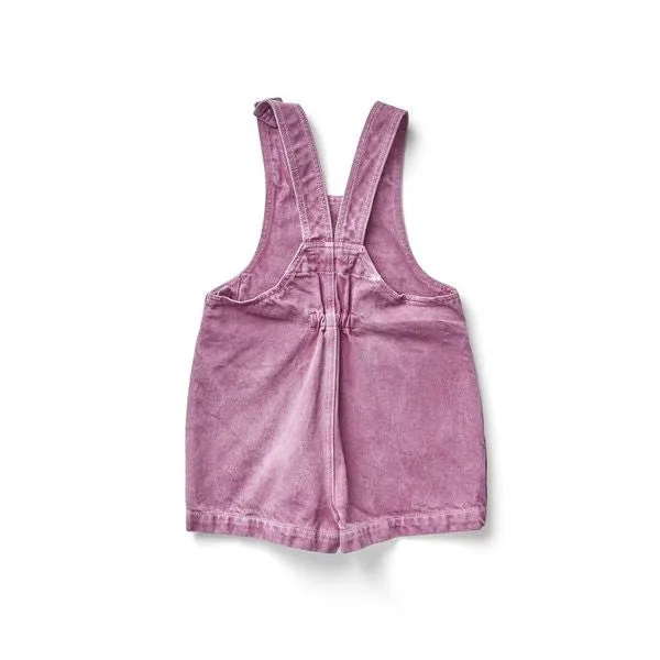 Delphine Shortall in Zinnia